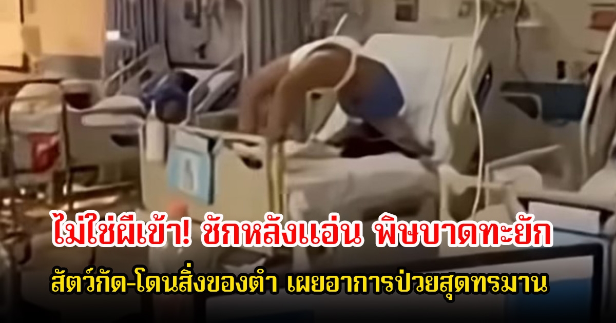 อย่าชะล่าใจ! ชักหลังแอ่น พิษบาดทะยัก ถูกสัตว์กัด-โดนสิ่งของตำ เผยอาการป่วยสุดทรมาน