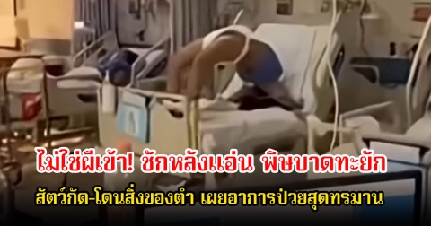 อย่าชะล่าใจ! ชักหลังแอ่น พิษบาดทะยัก ถูกสัตว์กัด-โดนสิ่งของตำ เผยอาการป่วยสุดทรมาน
