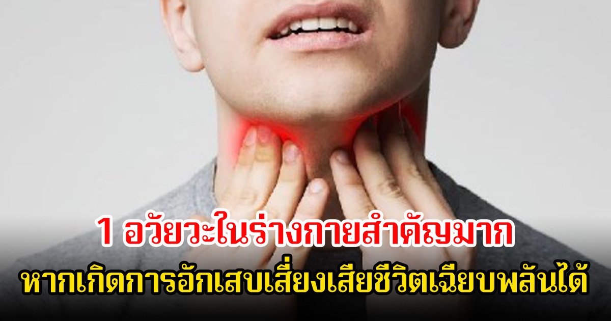 อันตรายมาก! 1 อวัยวะในร่างกายสำคัญมาก หายคนแทบไม่รู้จัก หากเกิดการอักเสบเสี่ยงเสียชีวิตเฉียบพลันได้