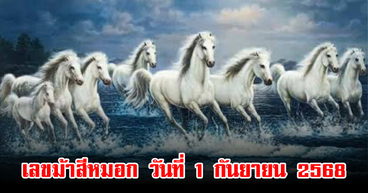 เลขม้าสีหมอก วันที่ 1 กันยายน 2568