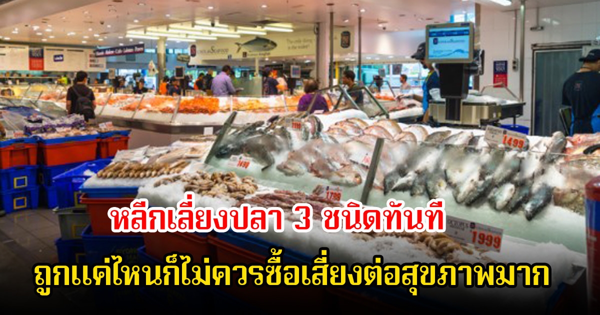 หลีกเลี่ยงปลา 3 ชนิดทันที ถูกแค่ไหนก็ไม่ควรซื้อเสี่ยงต่อสุขภาพมาก แม่บ้านหลายคนชอบมาก