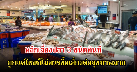 หลีกเลี่ยงปลา 3 ชนิดทันที ถูกแค่ไหนก็ไม่ควรซื้อเสี่ยงต่อสุขภาพมาก แม่บ้านหลายคนชอบมาก