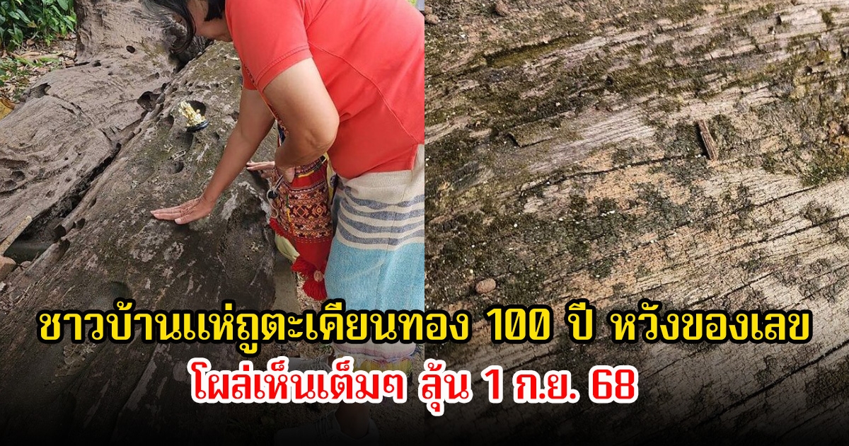 ฮือฮา! ชาวบ้านแห่ถูตะเคียนทอง 100 ปี หวังของเลข โผล่เห็นเต็มๆ ลุ้น 1 ก.ย. 68