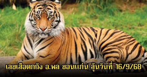 เลขเด็ด เสือตกถัง อ.พล ขอนแก่น ลุ้นวันที่ 16 กันยายน 68