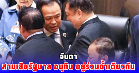 จับตา สามเสือรัฐบาล อนุทิน อยู่ร่วมถ้ำเดียวกัน
