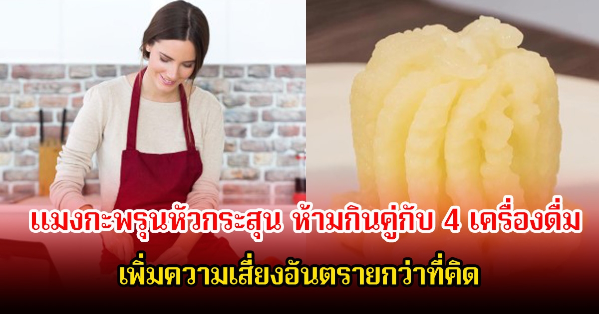 หลายคนไม่รู้! แมงกะพรุนหัวกระสุน ห้ามกินคู่กับ 4 เครื่องดื่ม เพิ่มความเสี่ยงอันตรายกว่าที่คิด