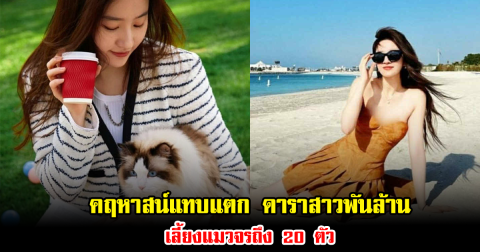 คฤหาสน์แทบแตก ดาราสาวพันล้าน เลี้ยงแมวจรถึง 20 ตัว นางฟ้าบนดินชัดๆ (ข่าวต่างประเทศ)