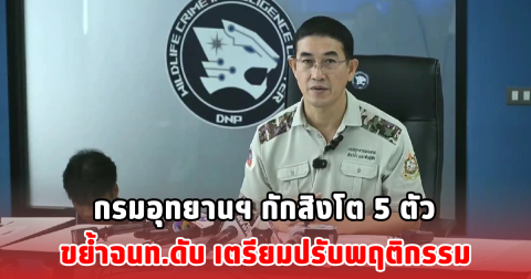 กรมอุทยานฯ กักสิงโต 5 ตัว ขย้ำจนท.ดับ เตรียมปรับพฤติกรรม