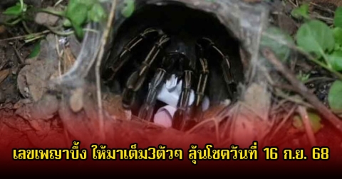 จุดธูปขอโชค! เลขเพญาบึ้ง ให้มาเต็ม3ตัวๆ ลุ้นโชควันที่ 16 ก.ย. 68