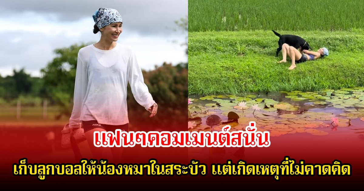 แฟนๆคอมเมนต์สนั่น แอน ทองประสม เก็บลูกบอลให้น้องหมาในสระบัว แต่เกิดเหตุที่ไม่คาดคิด