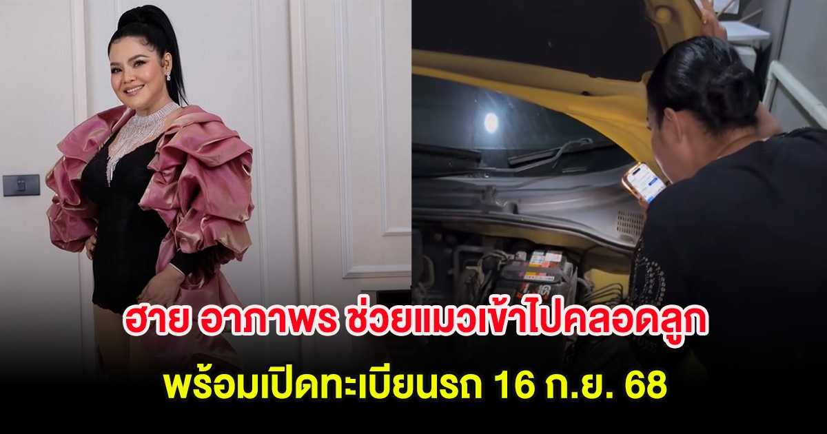 ซูมชัดๆ ฮาย อาภาพร ช่วยแมวเข้าไปคลอดลูกในห้องเครื่องรถ พร้อมเปิดทะเบียนรถ 16 ก.ย. 68