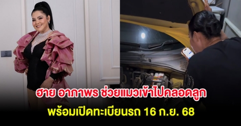 ซูมชัดๆ ฮาย อาภาพร ช่วยแมวเข้าไปคลอดลูกในห้องเครื่องรถ พร้อมเปิดทะเบียนรถ 16 ก.ย. 68