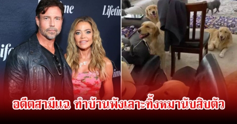 หย่าแล้ว! อดีตสามีแฉ ดาราสาว ทิ้งหมานับสิบตัว ทำบ้านพังเลาะ หลังเลิกรากันไป (ข่าวต่างประเทศ)