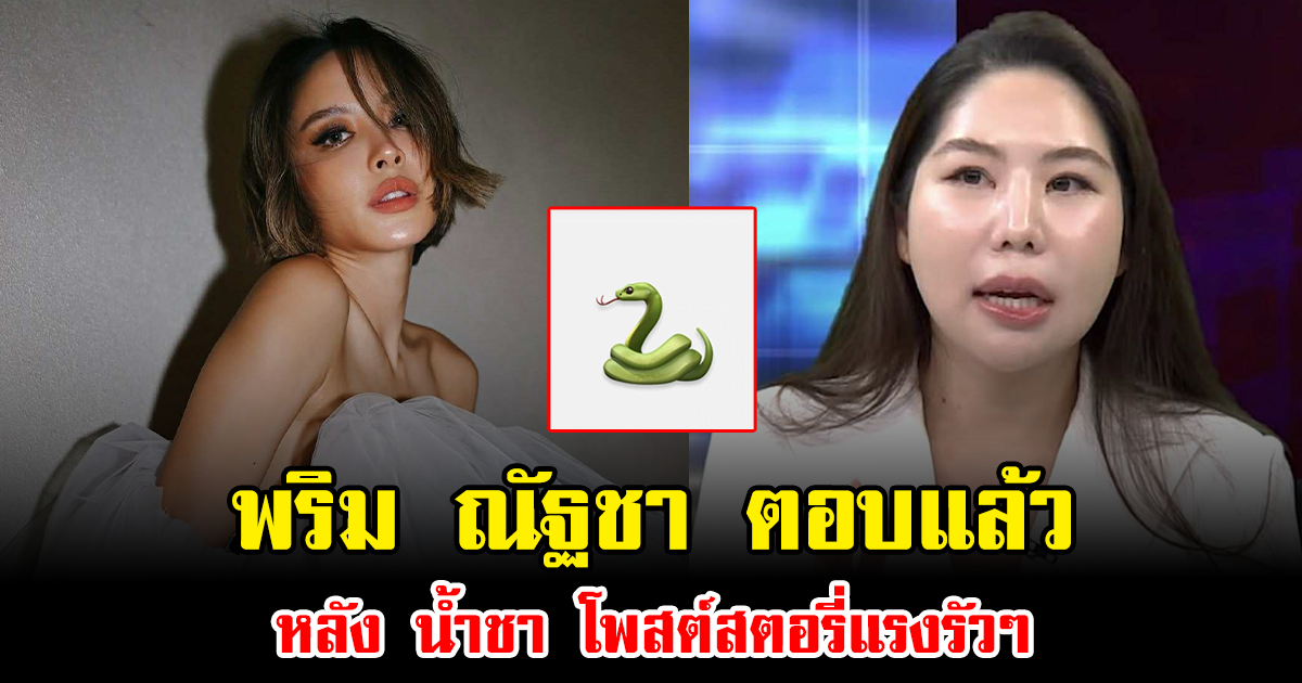 พริม ณัฐชา ตอบแล้ว หลัง น้ำชา โพสต์สตอรี่แรงรัวๆ