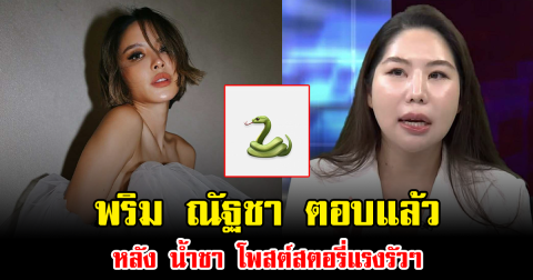 พริม ณัฐชา ตอบแล้ว หลัง น้ำชา โพสต์สตอรี่แรงรัวๆ