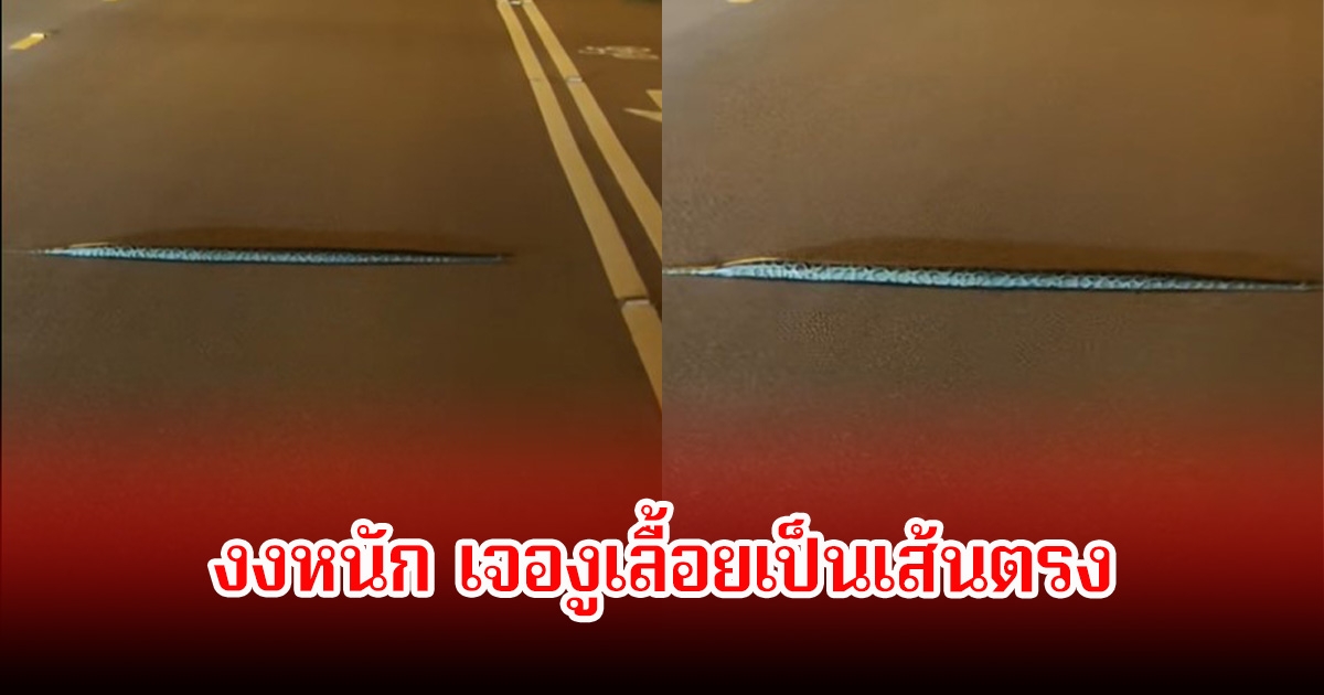 งงหนัก! เจองูสุดแปลกครั้งแรก เลื้อยเป็นเส้นตรงข้ามถนน ชาวเน็ตแห่คอมเมนต์สนั้น