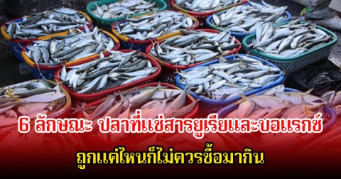 ระวัง! 6 ลักษณะ ปลาที่แช่สารอันตราย ถูกแค่ไหนก็ไม่ควรซื้อมากิน เสี่ยงต่อสุขภาพมาก