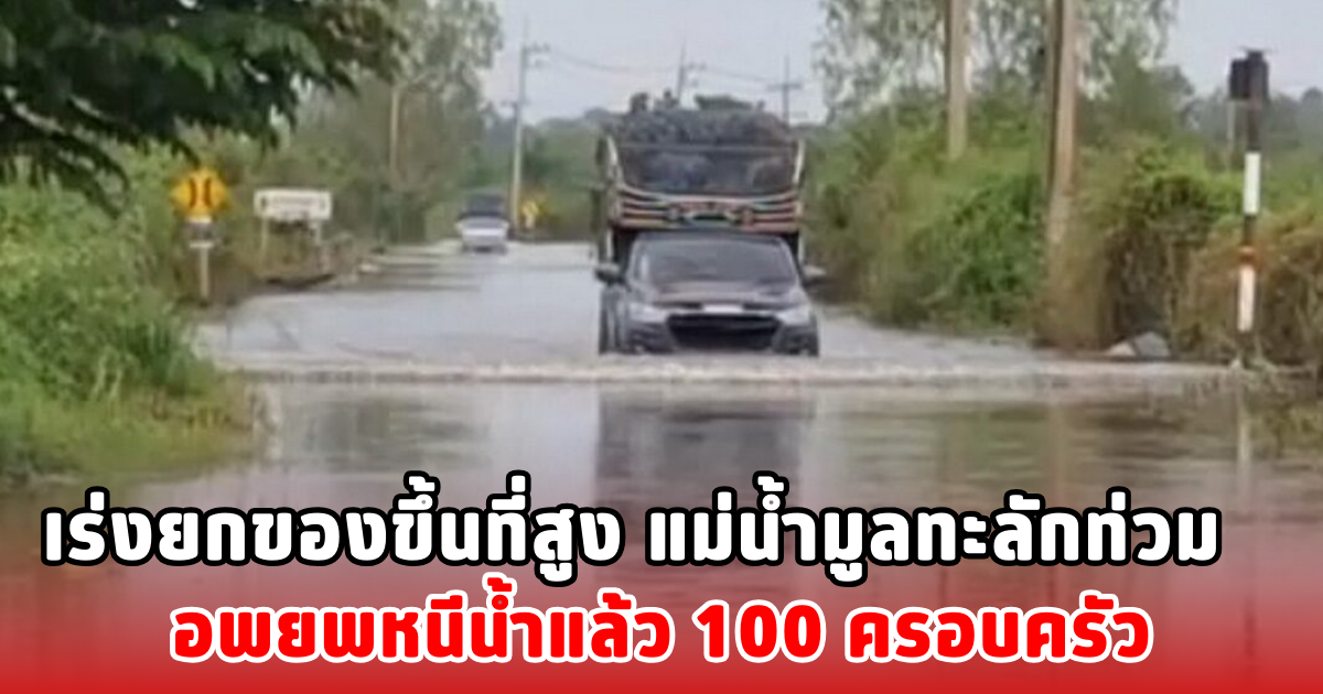 เร่งยกของขึ้นที่สูง แม่น้ำมูลทะลักท่วม อพยพหนีน้ำแล้ว 100 ครอบครัว