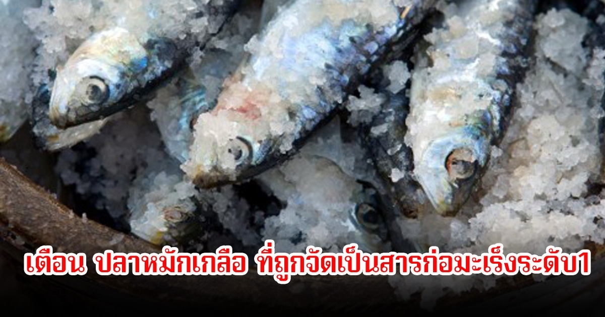 เตือน! ปลาที่ถูกจัดเป็นสารก่อมะเร็งระดับ1 หลายคนกินบ่อยมาก