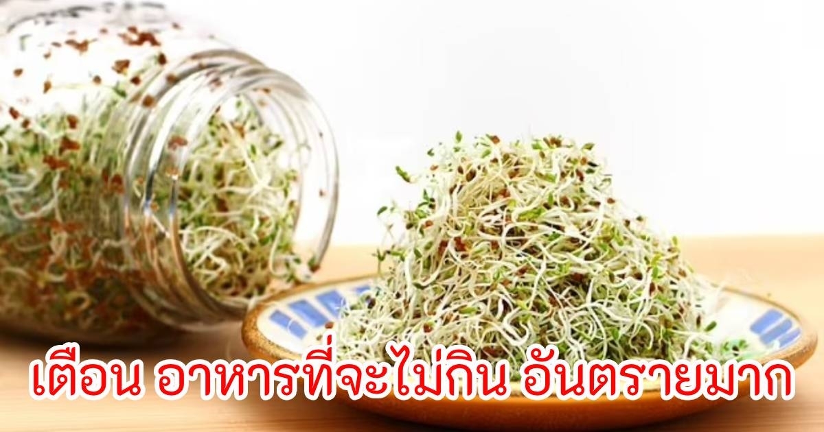 ผู้เชี่ยวชาญ เตือนอาหารที่จะไม่มีวันกิน แบคทีเรียเต็มไปหมดเป็นพิษได้ คนไทยชอบกินดิบมาก