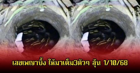 ห้ามพลาด! เลขเพญาบึ้ง ให้มาเต็ม3ตัวๆ ลุ้นโชควันที่ 1 ต.ค. 68