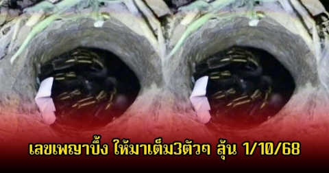 ให้มาเต็ม3ตัวๆ เลขเพญาบึ้ง ลุ้นโชควันที่ 1 ต.ค. 68