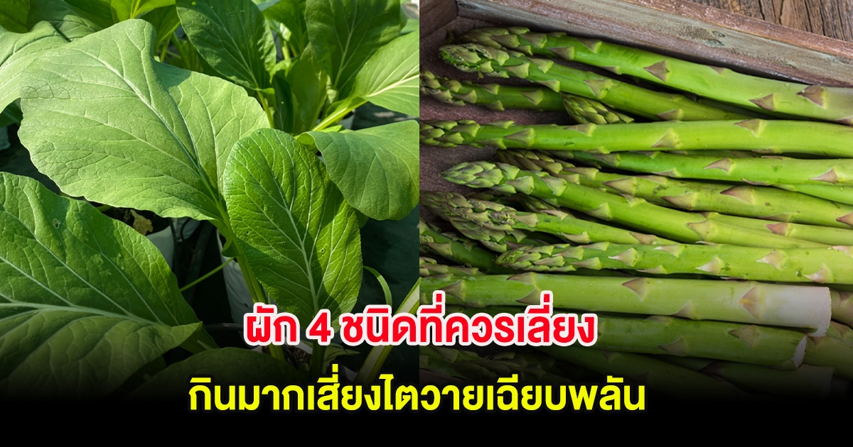 ผัก 4 ชนิดที่ควรเลี่ยง กินมากเสี่ยงไตวายเฉียบพลัน