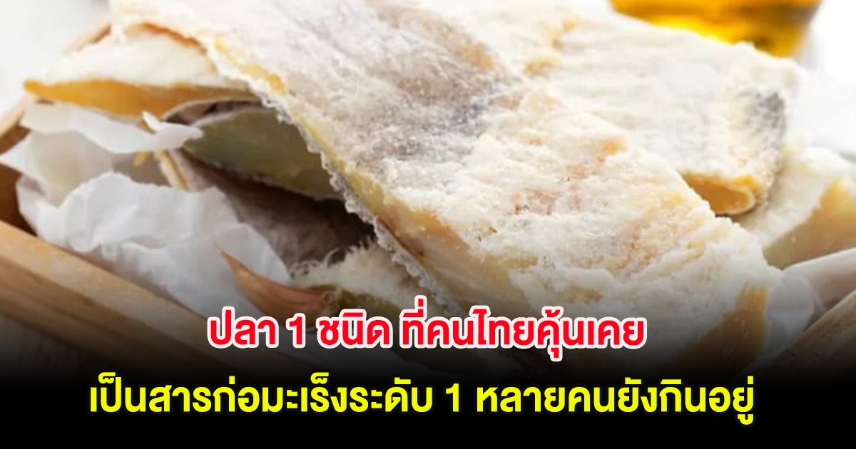 ปลา 1 ชนิด ที่คนไทยคุ้นเคย เป็นสารก่อมะเร็งระดับ 1 หลายคนยังกินอยู่