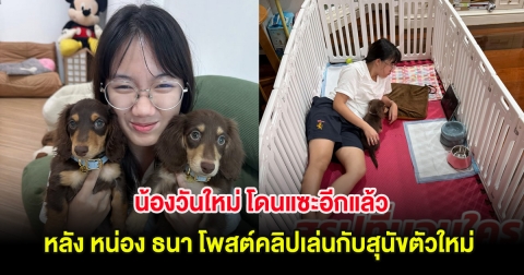 น้องวันใหม่ โดนแซะอีกแล้ว หลัง หน่อง ธนา โพสต์คลิปเล่นกับสุนัขตัวใหม่
