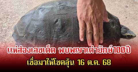 แห่ส่องเลขเด็ด พบพญาเต่ายักษ์100ปี คล้ายพระสมเด็จ 7 ชั้น บนกระดอง เชื่อมาให้โชคลุ้น 16 ต.ค. 68