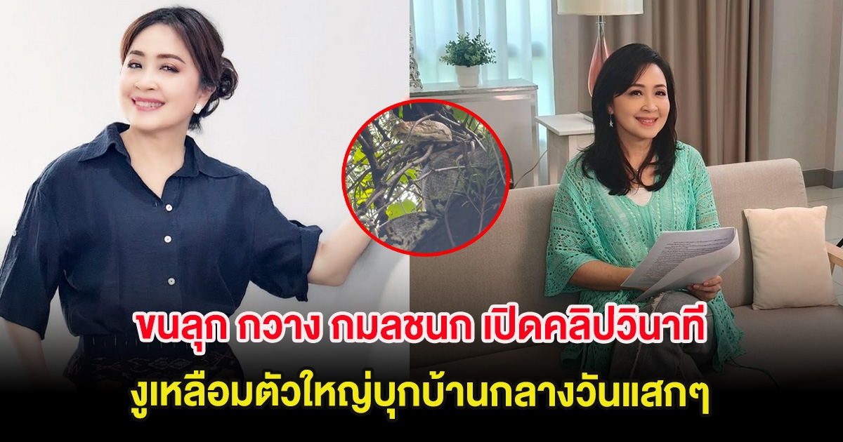 ขนลุก กวาง กมลชนก เปิดคลิปวินาทีเห็น งูเหลือมตัวใหญ่บุกบ้านกลางวันแสกๆ