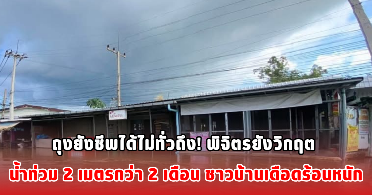 ถุงยังชีพได้ไม่ทั่วถึง! พิจิตรยังวิกฤต น้ำท่วม 2 เมตรกว่า 2 เดือน ชาวบ้านเดือดร้อนหนัก