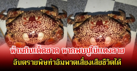 อ.เจษฎ์ ห้ามกินเด็ดขาด หากพบปูใบ้แดงลาย หลังโผล่ จ. ระยอง อันตรายพิษทำอัมพาตเสี่ยงเสียชีวิตได้