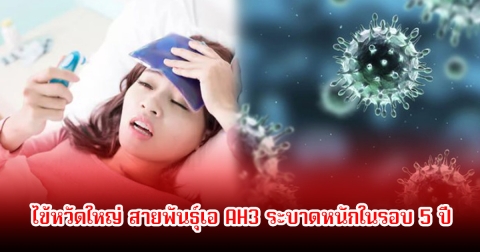 แพทย์เตือน! ไข้หวัดใหญ่ สายพันธุ์เอ AH3 ระบาดหนักในรอบ 5 ปี แนะจับตาตลอดเดือนตุลาคม เป็นช่วงพีคที่สุด