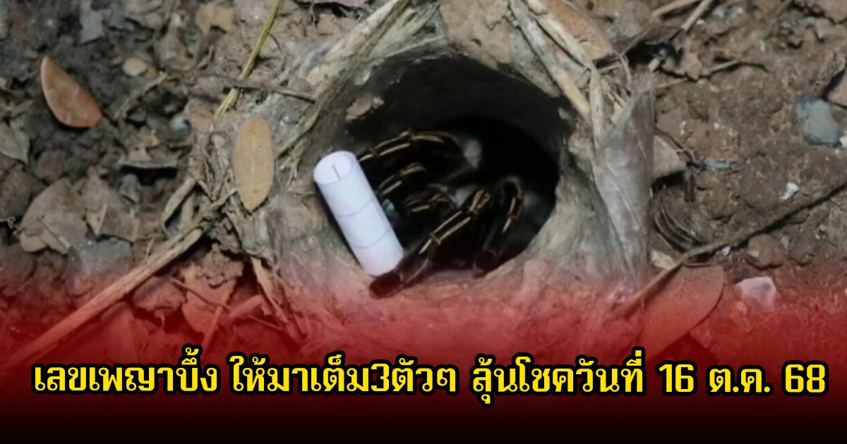 ห้ามพลาด! เลขเพญาบึ้ง ให้มาเต็ม3ตัวๆ ลุ้นโชควันที่ 16 ต.ค. 68