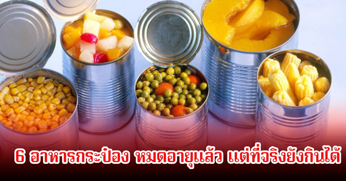 เปิด 6 อาหารกระป๋อง หมดอายุแล้ว แต่ที่จริงยังกินได้ หลายคนไม่รู้ทิ้งไปเยอะมาก