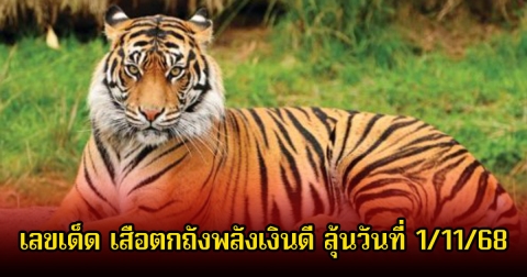 เลขเด็ด เสือตกถังพลังเงินดี ลุ้นวันที่ 1 พฤศจิกายน 68