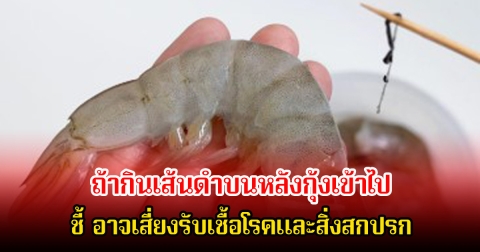 ผู้ช่วยศาสตราจารย์ เผยเอง ถ้ากินเส้นดำบนหลังกุ้งเข้าไป ร่างกายจะตอบสนองยังไง