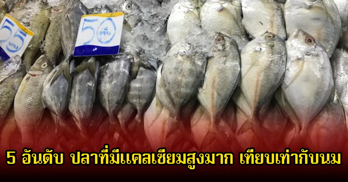 หลายคนมองข้าม! 5 อันดับ ปลาที่มีแคลเซียมสูงมาก เทียบเท่ากับนม