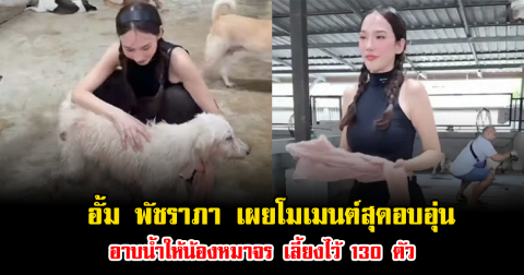 อั้ม พัชราภา เผยโมเมนต์สุดอบอุ่น อาบน้ำให้น้องหมาจร เลี้ยงไว้ 130 ตัว