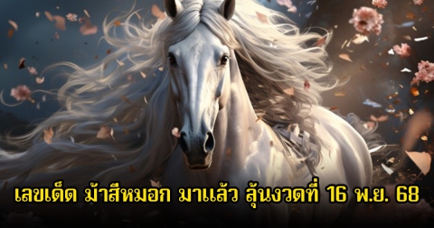 เลขเด็ด ม้าสีหมอก มาแล้ว ลุ้นงวดที่ 16 พ.ย. 68