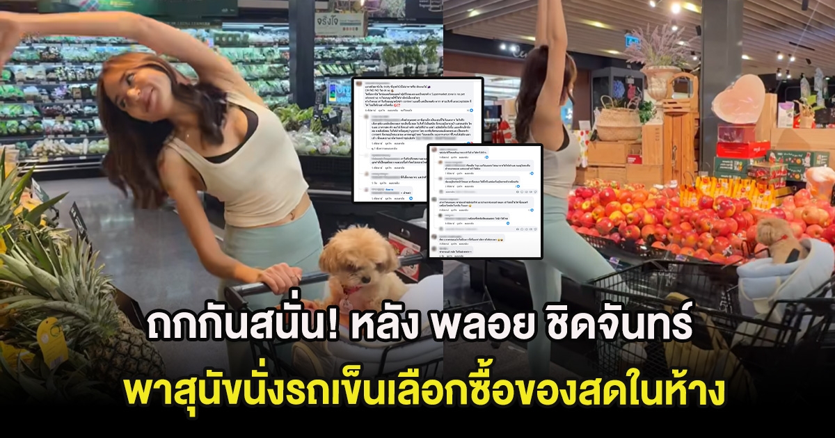 ถกกันสนั่น! หลัง พลอย ชิดจันทร์ พาสุนัขนั่งรถเข็นเลือกซื้อของสดในห้าง