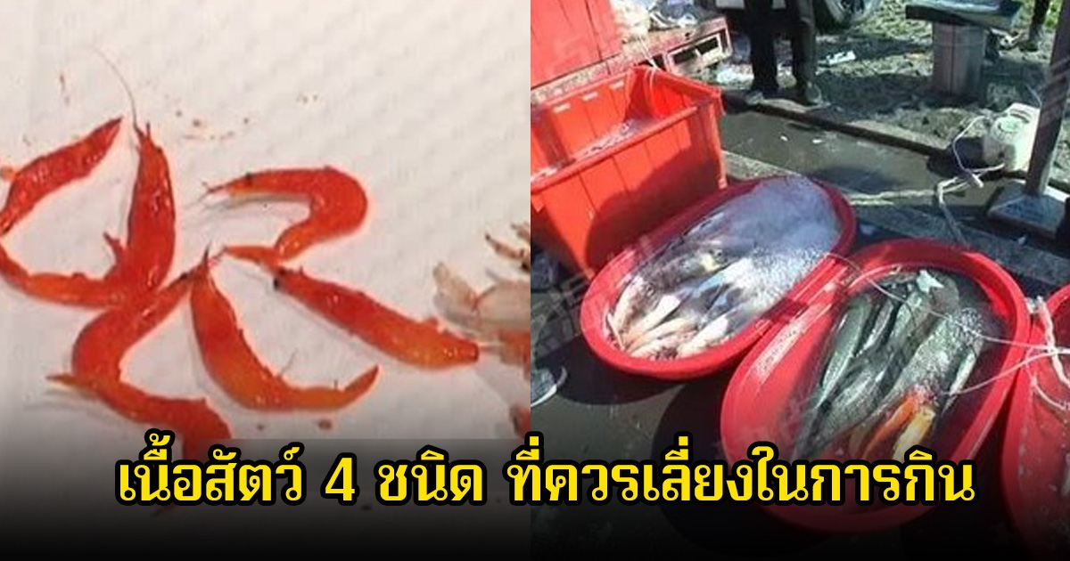 เตือน! เนื้อสัตว์ 4 ชนิด ที่ควรจะถูกแบนเสี่ยงแบคทีเรีย และสารพิษ แต่หลายคนก็ยังกินอยู่