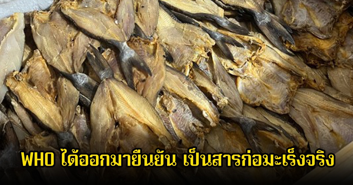 องค์การอนามัยโลก ยืนยันแล้ว ปลา 1 ชนิด เป็นสารก่อมะเร็งจริง พบหลายคนกินแทบทุกวัน