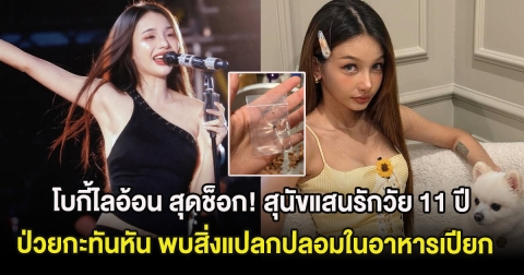 โบกี้ไลอ้อน สุดช็อก! สุนัขแสนรักวัย 11 ปี ป่วยกะทันหัน พบสิ่งแปลกปลอมในอาหารเปียก