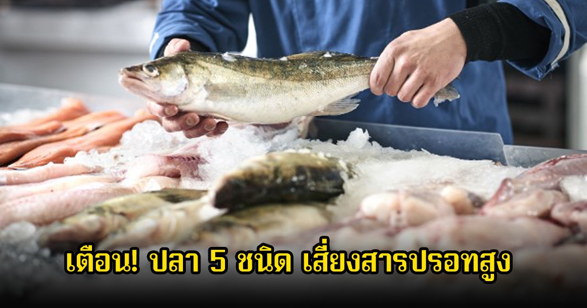 ผู้เชี่ยวชาญเตือน! ปลา 5 ชนิด เสี่ยงสารปรอทสูง พบหลายคนสุขภาพพังไม่รู้ตัว