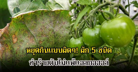 หยุดกินแบบผิดๆ! ผัก 5 ชนิด ที่หลายคนคุ้นเคย ทำร้ายตับไม่แพ้แอลกอฮอล์