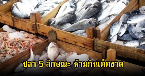 พ่อค้าแม่ค้าเตือนเอง! ปลา 5 ลักษณะ ห้ามกินเด็ดขาด อย่าเสียดายให้ทิ้งไปเลย