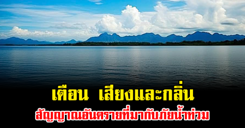 เตือน เสียงและกลิ่น สัญญาณอันตรายที่มากับภัยน้ำท่วม อย่ามองข้าม