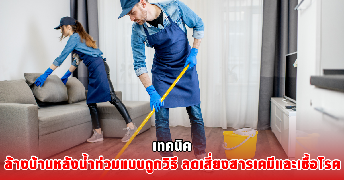 เทคนิค ล้างบ้านหลังน้ําท่วมแบบถูกวิธี ลดเสี่ยงสารเคมีและเชื้อโรค